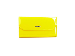 Giulia CLUTCH HANDBAG